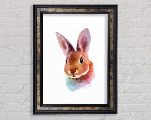 Rabbit Portrait Framed Print