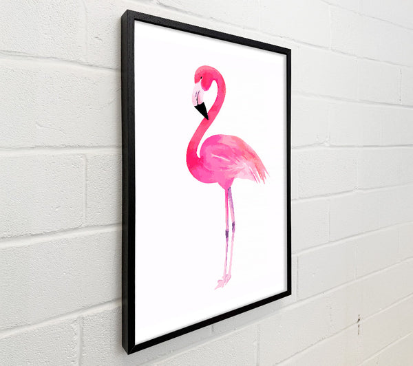 Pink Flamingo