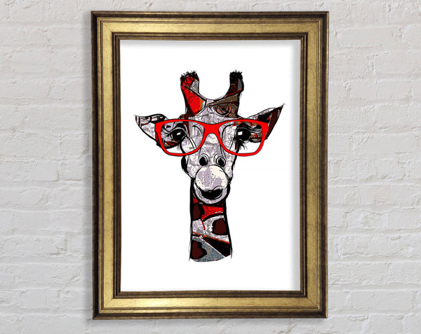 Funky Giraffe 2 Framed Print