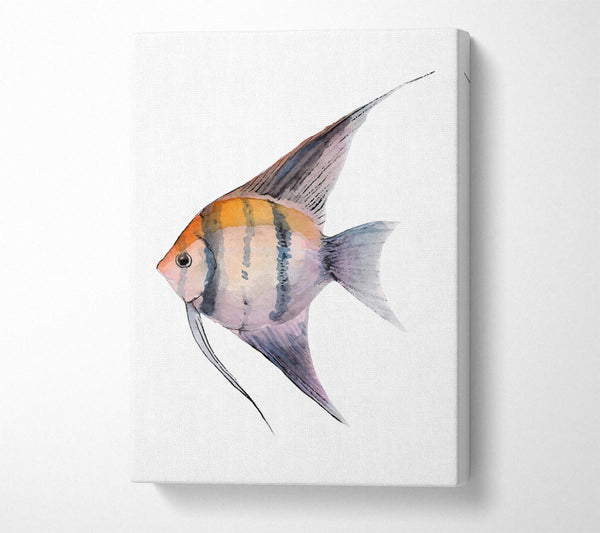  A Canvas Print of Tropical Fish Canvas Wall Art