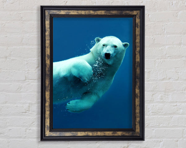 Polar Bear Bubbles Framed Print