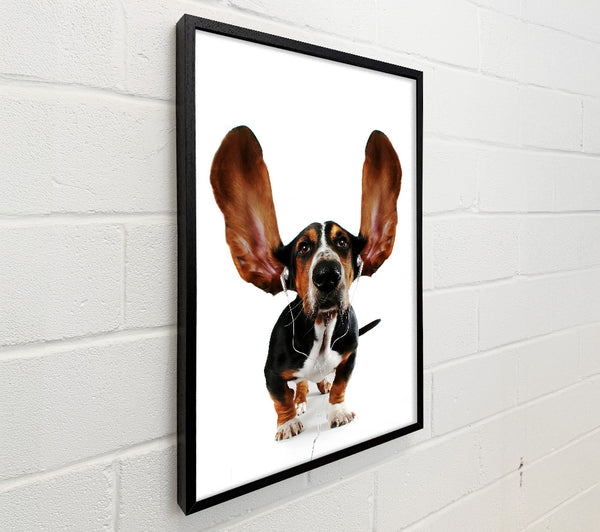Basset Hound Music