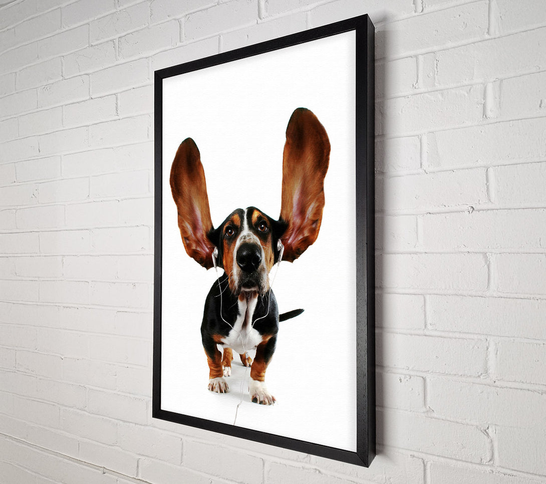  A Canvas Print of Basset Hound Music Canvas Print