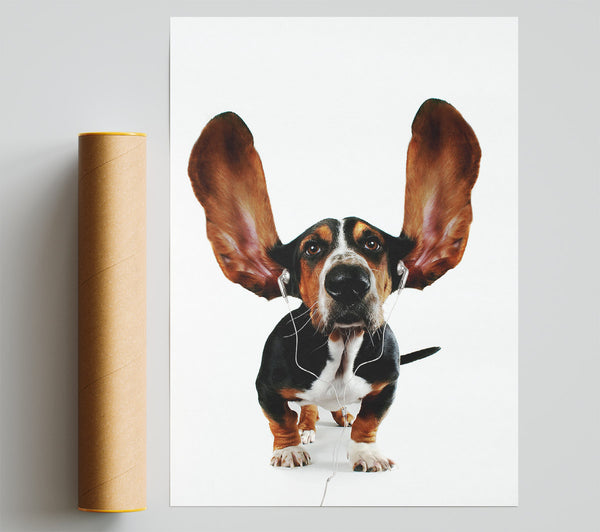 Basset Hound Music Giclee Print