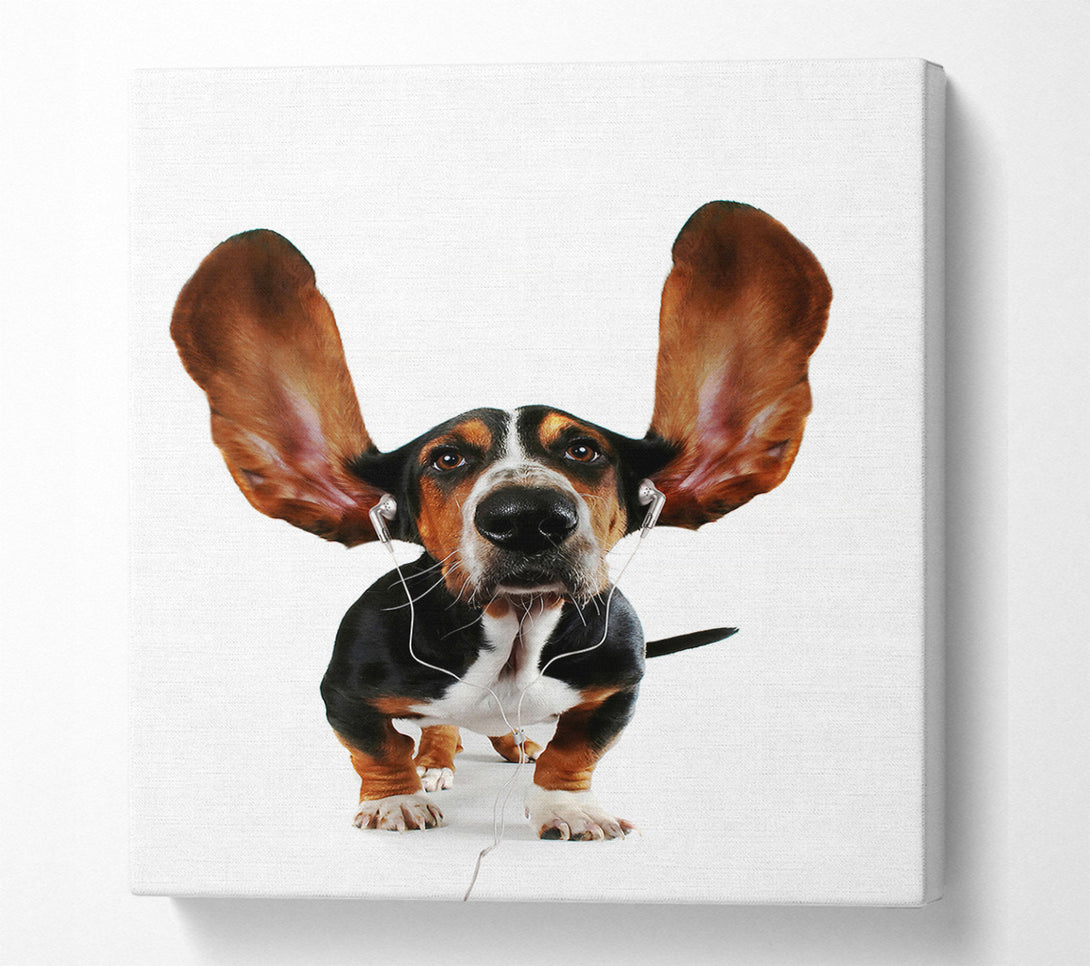  A Canvas Print of Basset Hound Music Canvas Print