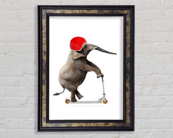 Elephant Scooter Framed Print