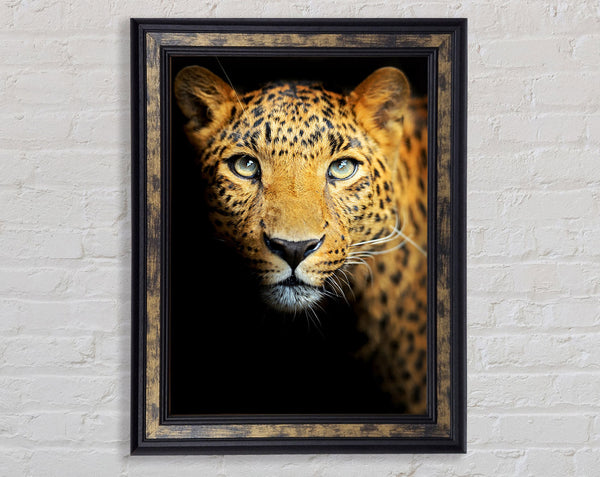 Leopard Beauty Framed Print