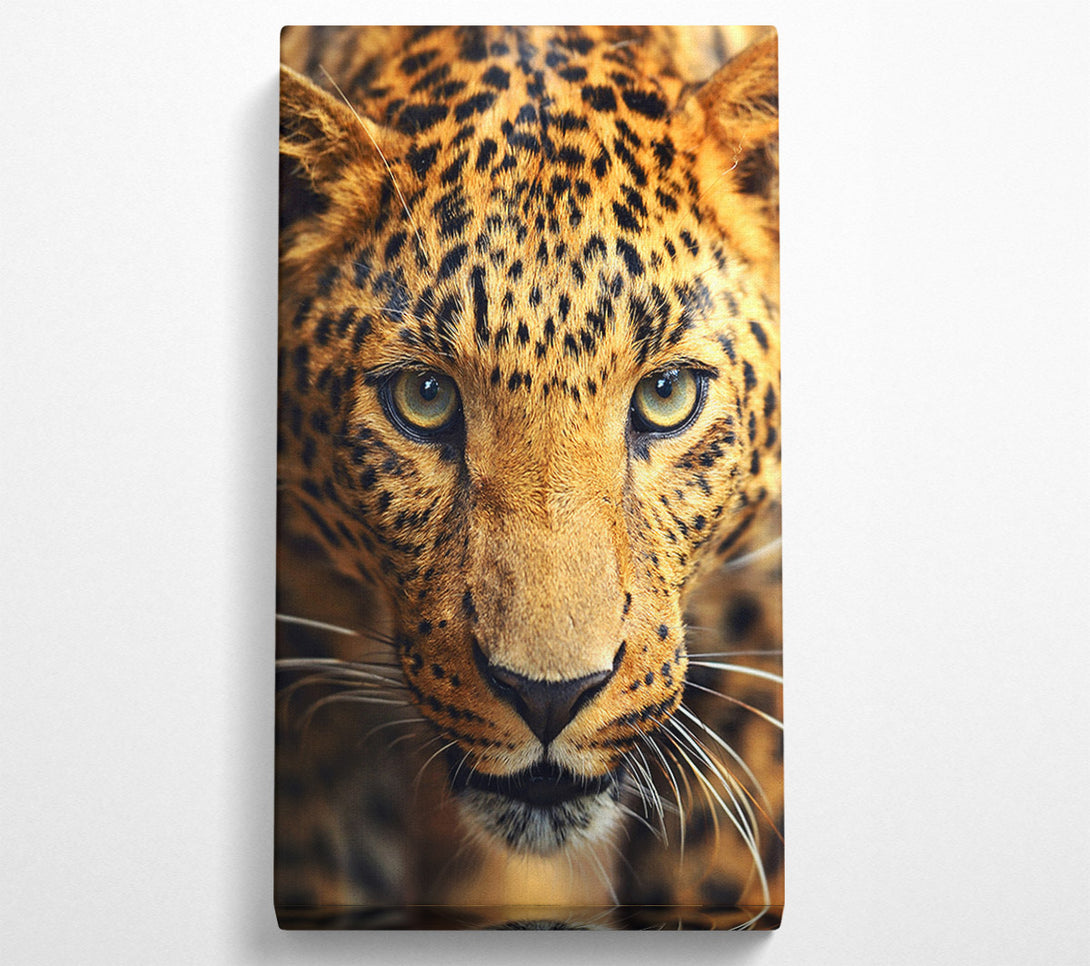  A Canvas Print of Leopard Stare Canvas Wall Art