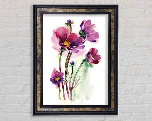 Wild Flower Beauty Framed Print