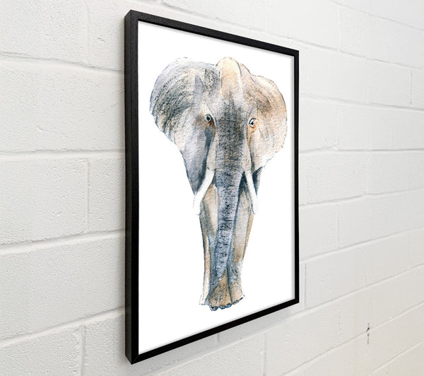 Elephant Drawing