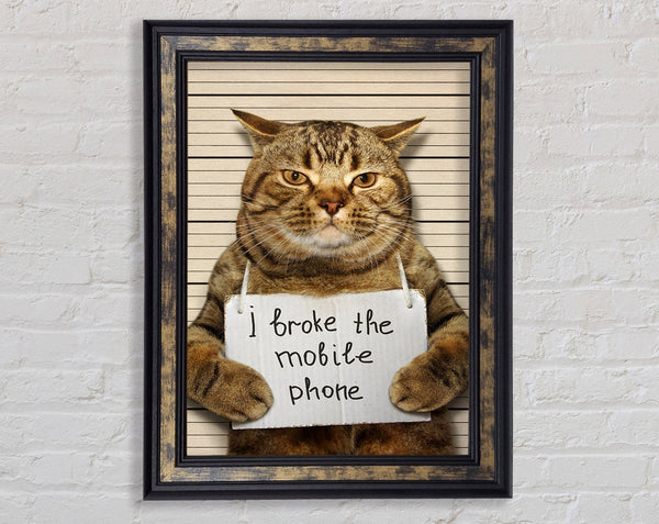 Cat Confessing