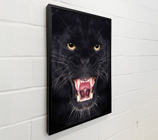 Panther Roar
