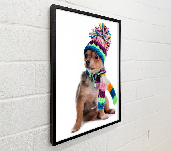 Chihuahua Dog Dressed For Winter