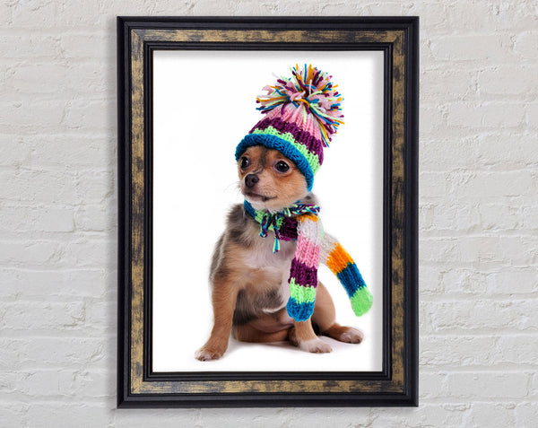 Chihuahua Dog Dressed For Winter Framed Print
