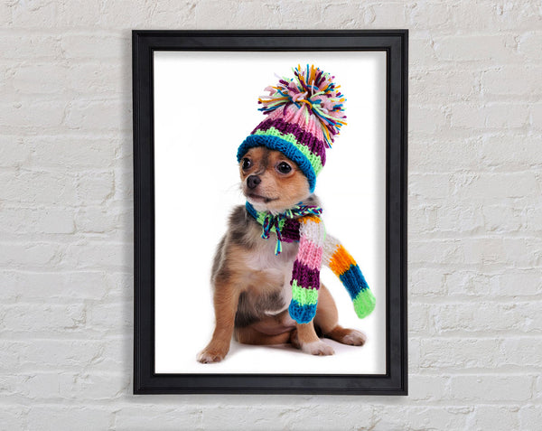Chihuahua-Hund für den Winter gekleidet