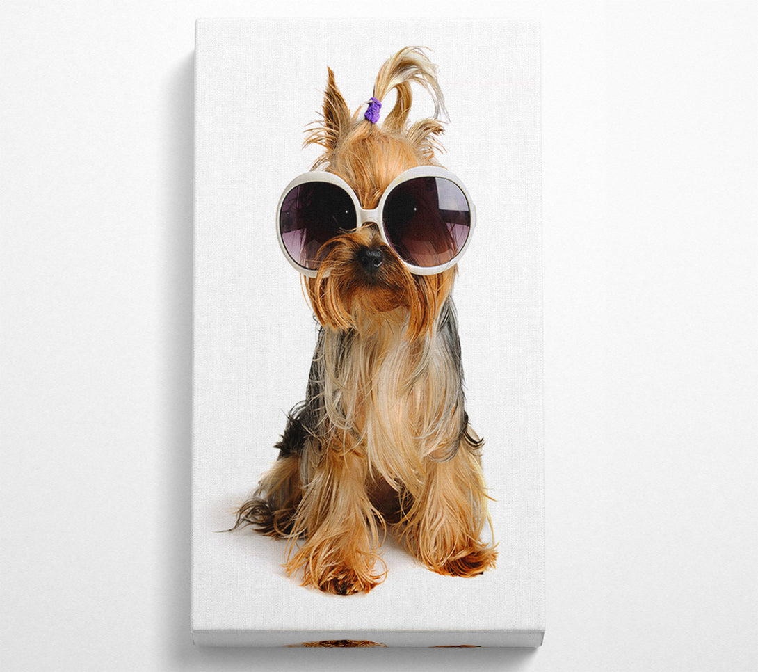  A Canvas Print of Yorkshire Terrier Dog Glamour Canvas Print