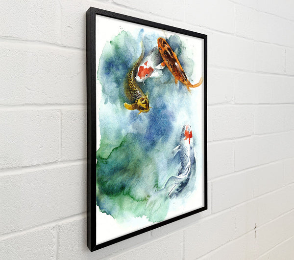 Koi Fishpond