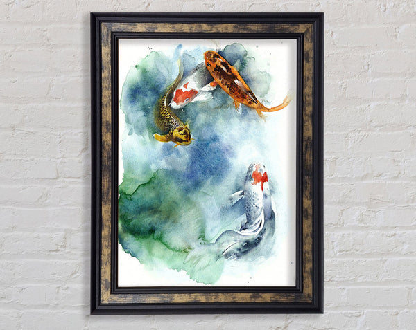 Koi Fishpond