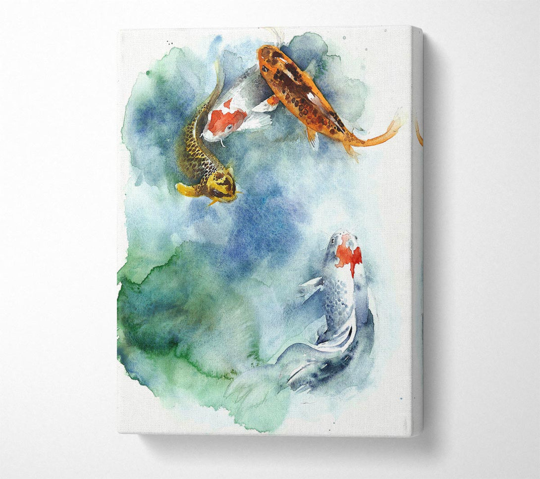  A Canvas Print of Koi Fishpond Canvas Print