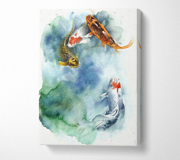  A Canvas Print of Koi Fishpond Canvas Print