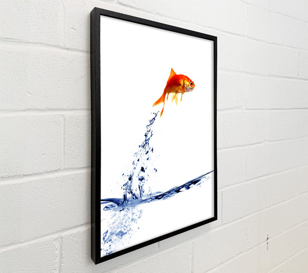 Jumping Goldfish