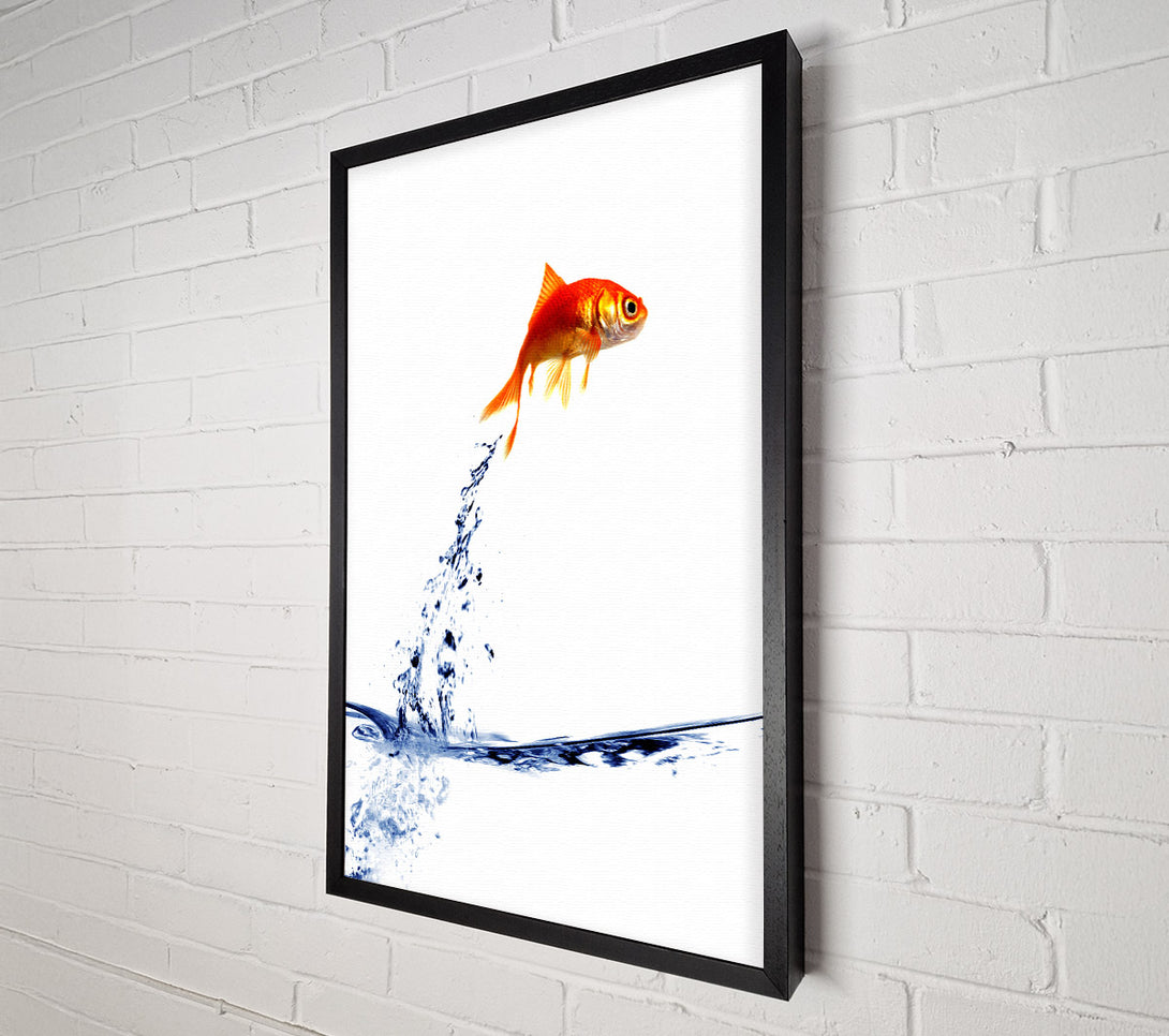  A Canvas Print of Jumping Goldfish Canvas Art