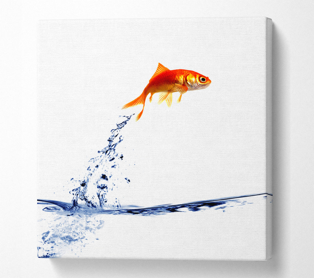  A Canvas Print of Jumping Goldfish Canvas Art