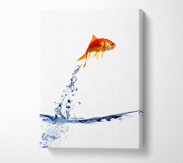  A Canvas Print of Jumping Goldfish Canvas Art