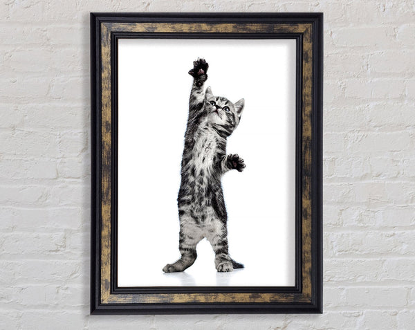 High Five Cat