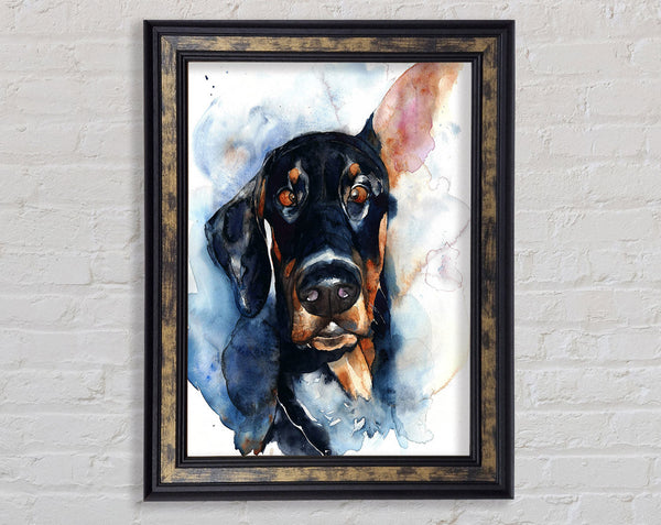 Doppy Dalmation Dog Framed Print