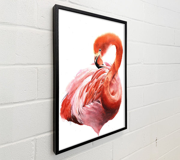 Flamingo Groom