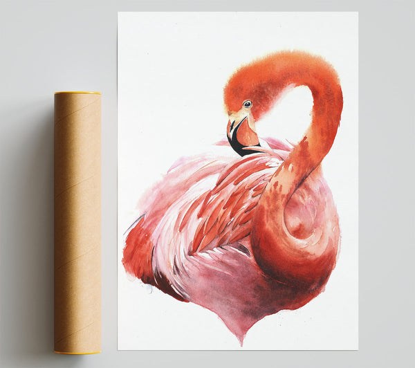 Flamingo Groom Poster