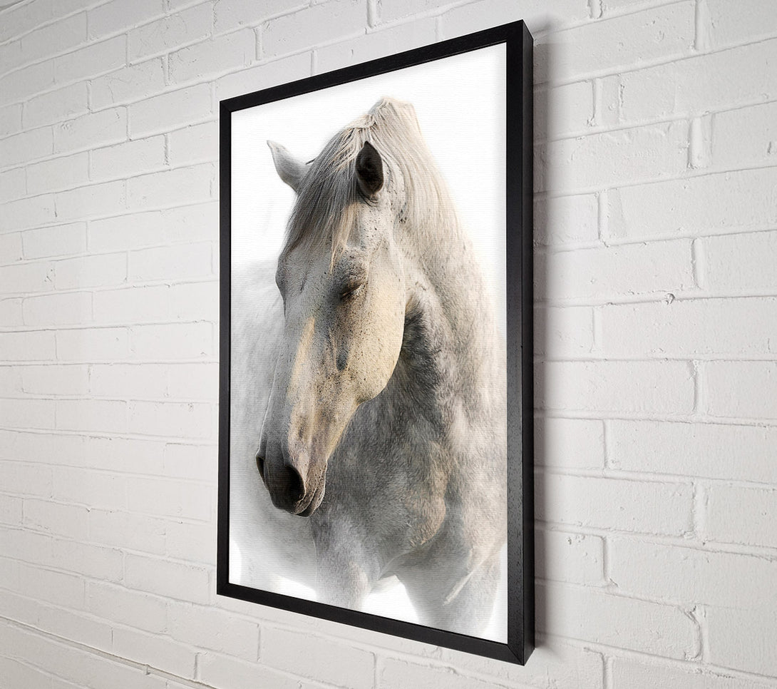  A Canvas Print of White Horse Love Canvas Print