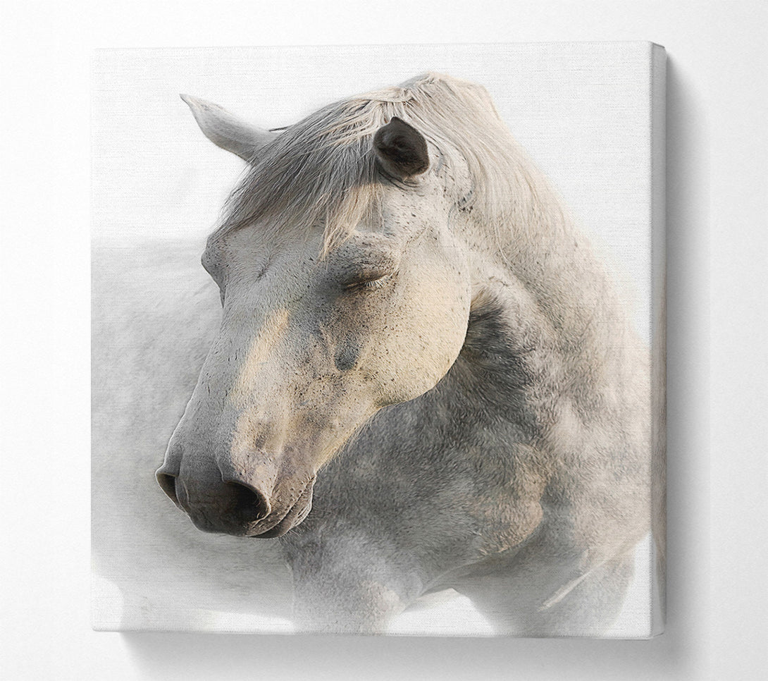  A Canvas Print of White Horse Love Canvas Print