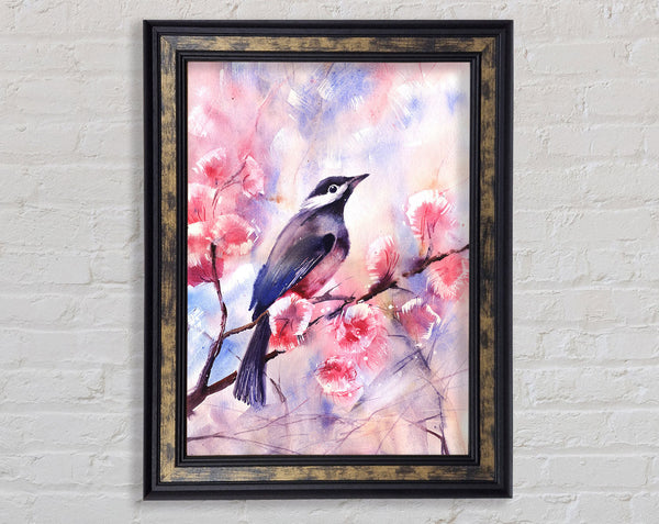 Cherry Blossom Bird Framed Print