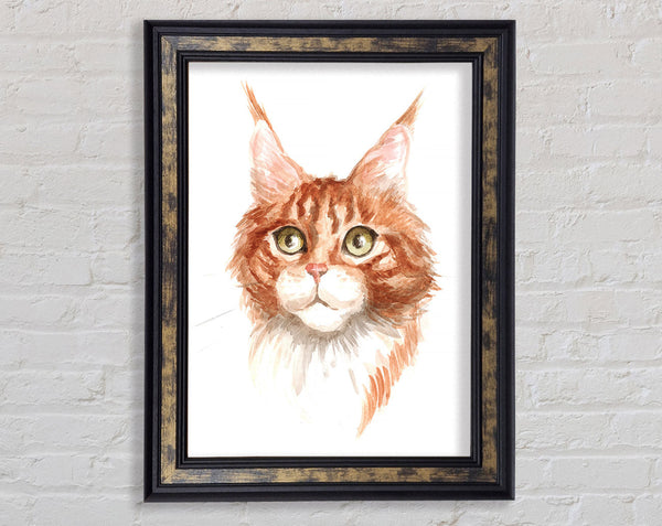 Ginger Tom Cat