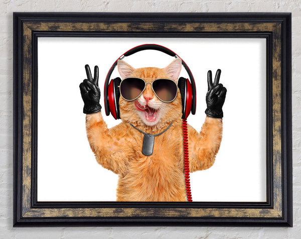 Top Cat