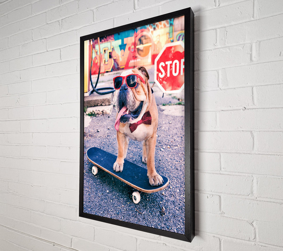  A Canvas Print of English Bulldog Skateboarding Canvas Wall Art