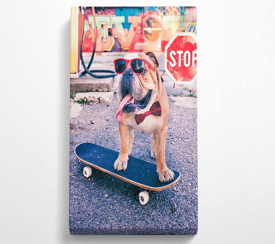  A Canvas Print of English Bulldog Skateboarding Canvas Wall Art