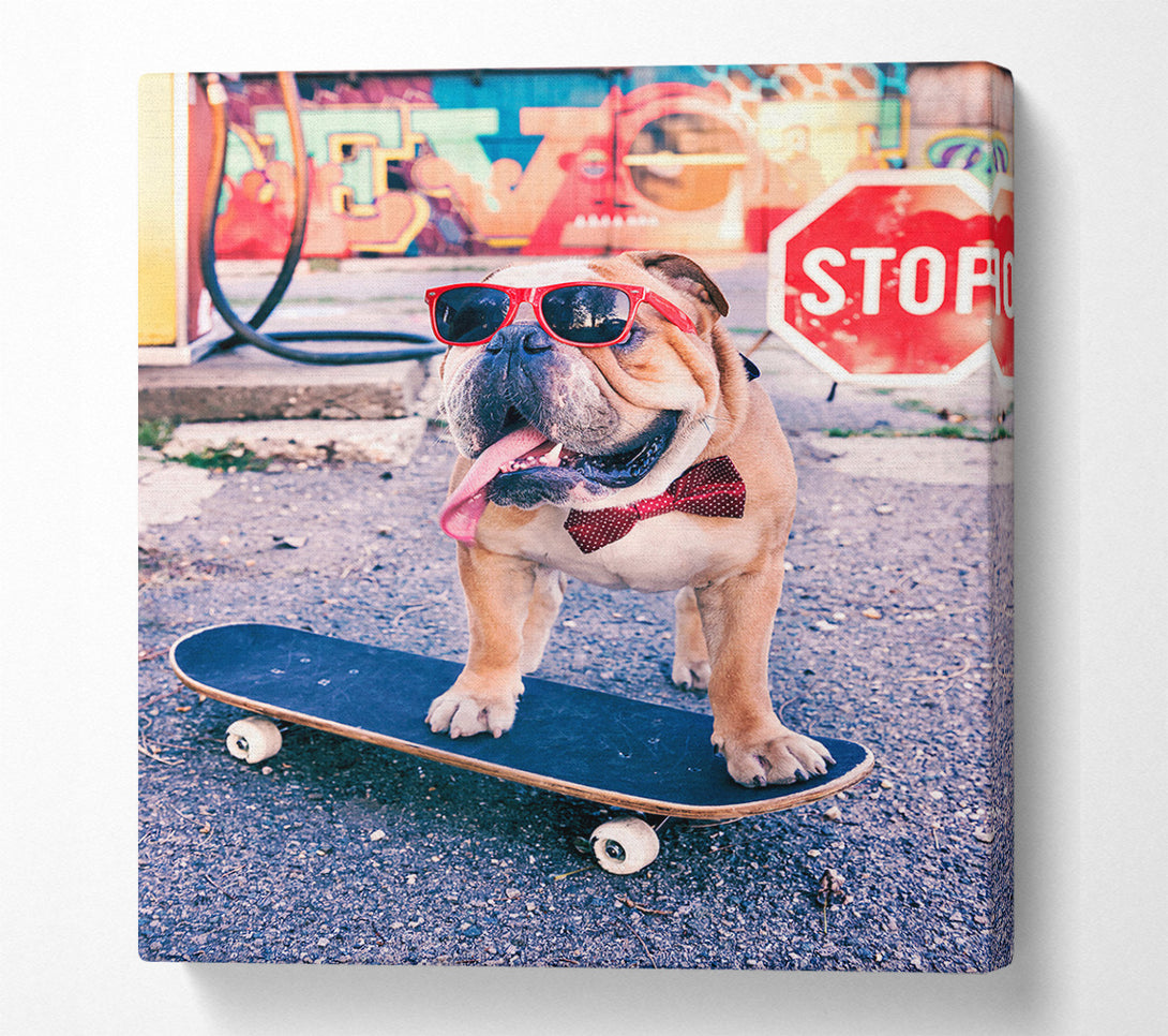  A Canvas Print of English Bulldog Skateboarding Canvas Wall Art