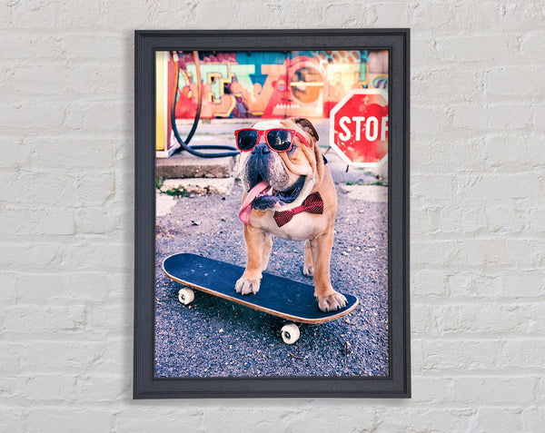 English Bulldog Skateboarding Framed Print