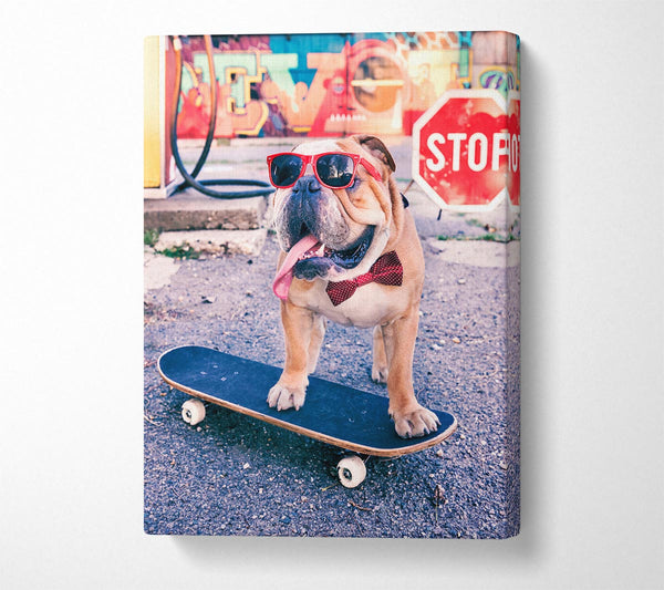  A Canvas Print of English Bulldog Skateboarding Canvas Wall Art