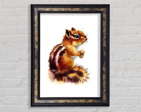 Squirrel Nuts Framed Print