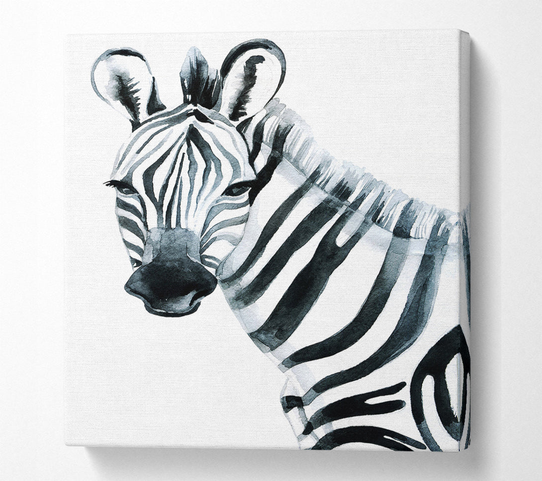  A Canvas Print of Zebra Face Canvas Print