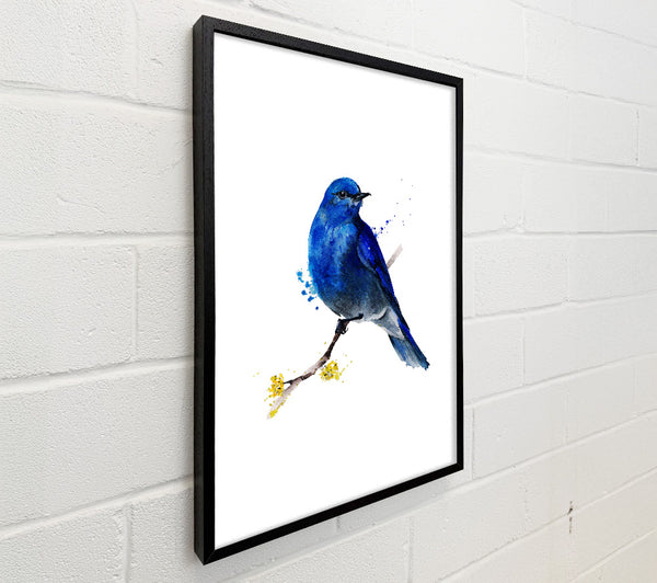 Bluebird On Apple Blossom
