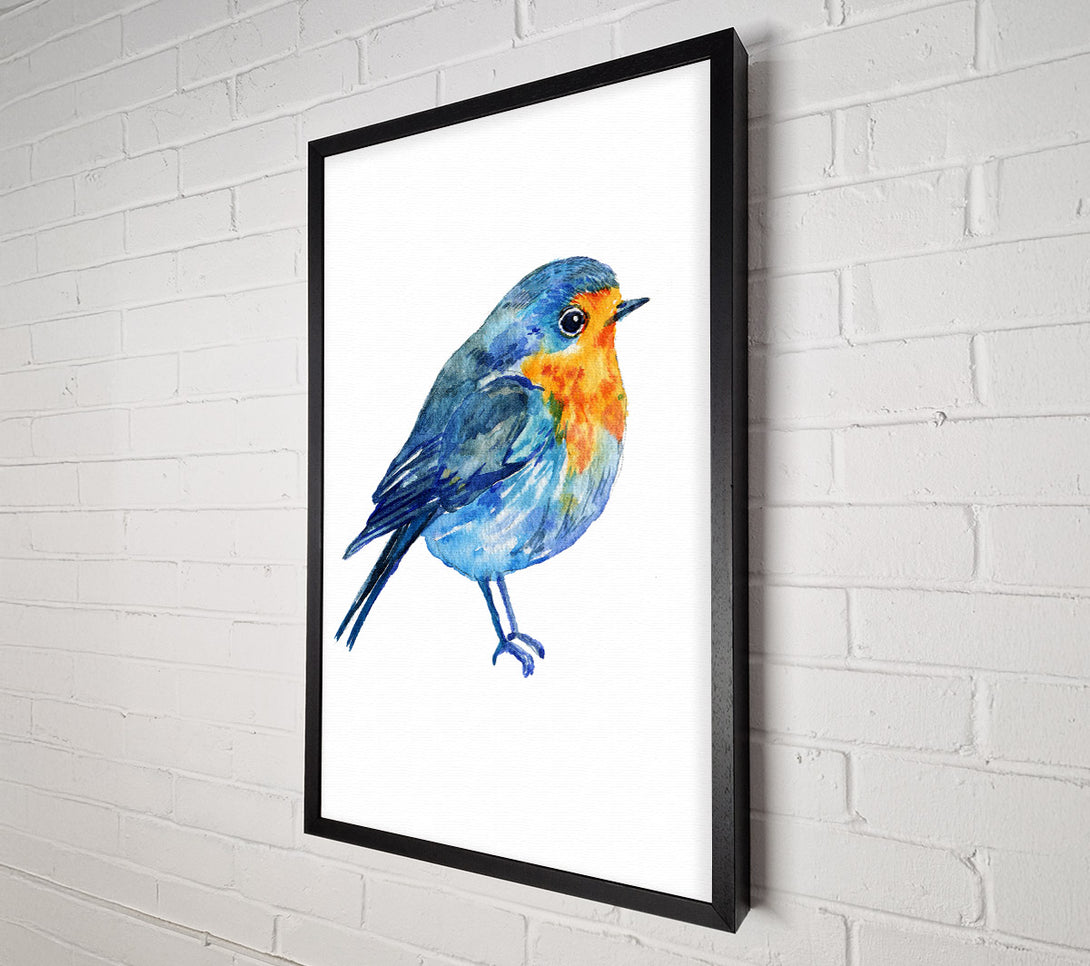  A Canvas Print of Robin Canvas Print