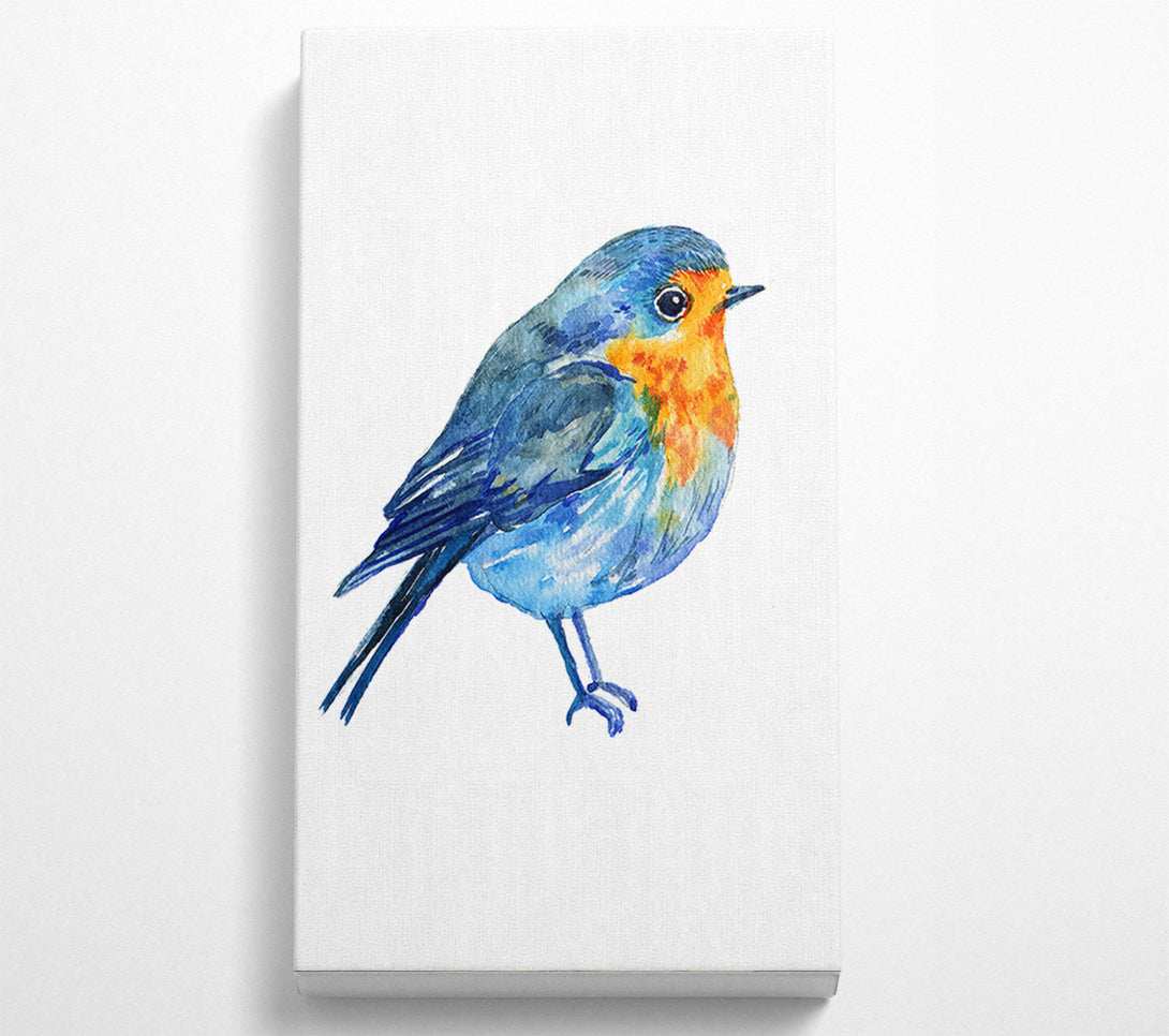  A Canvas Print of Robin Canvas Print