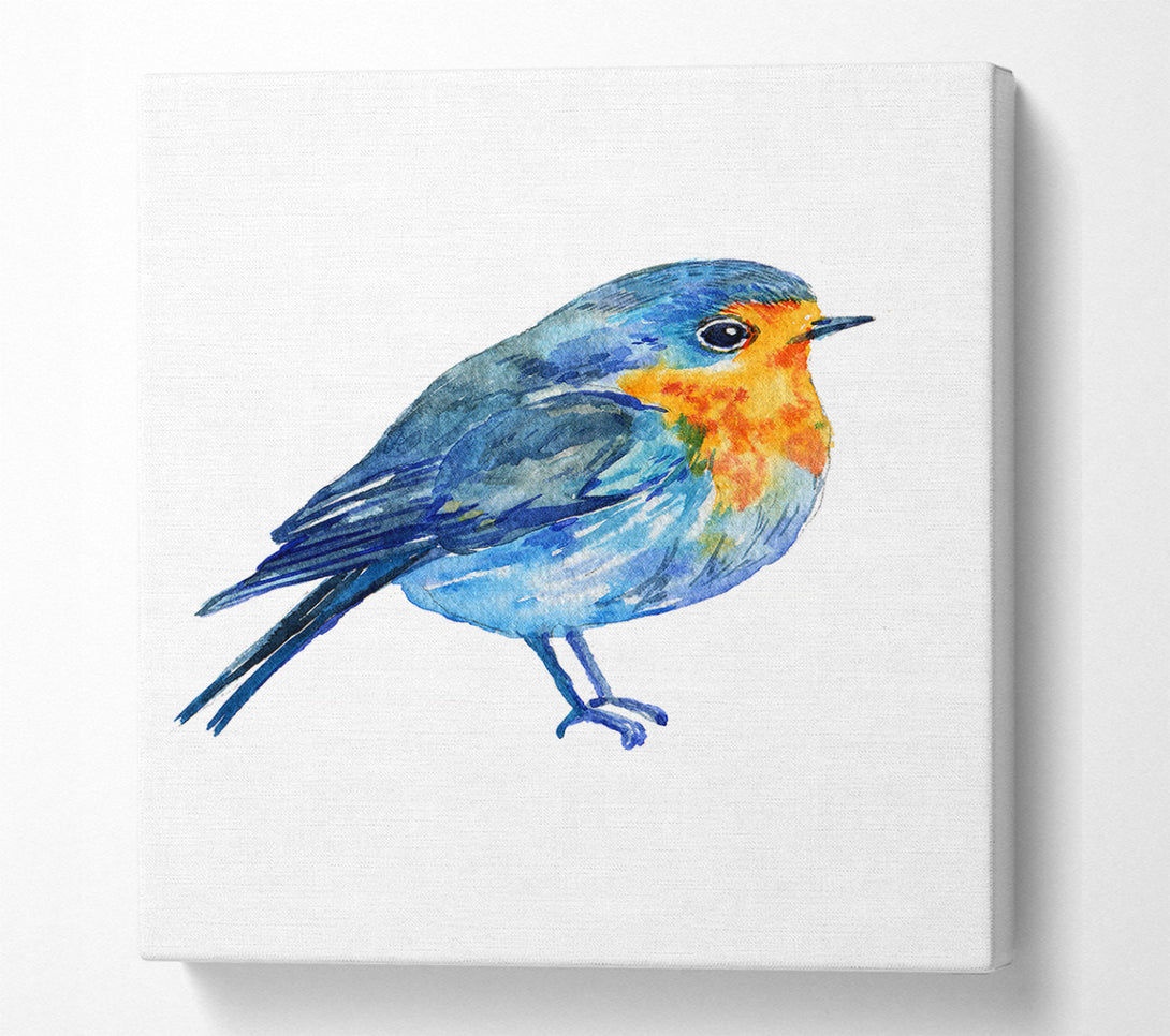  A Canvas Print of Robin Canvas Print