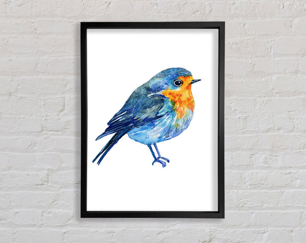 Robin Framed Print