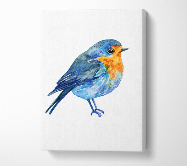  A Canvas Print of Robin Canvas Print